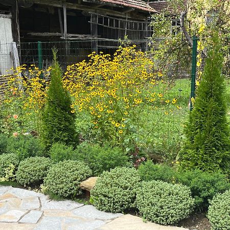 Verta House Трявна Экстерьер фото