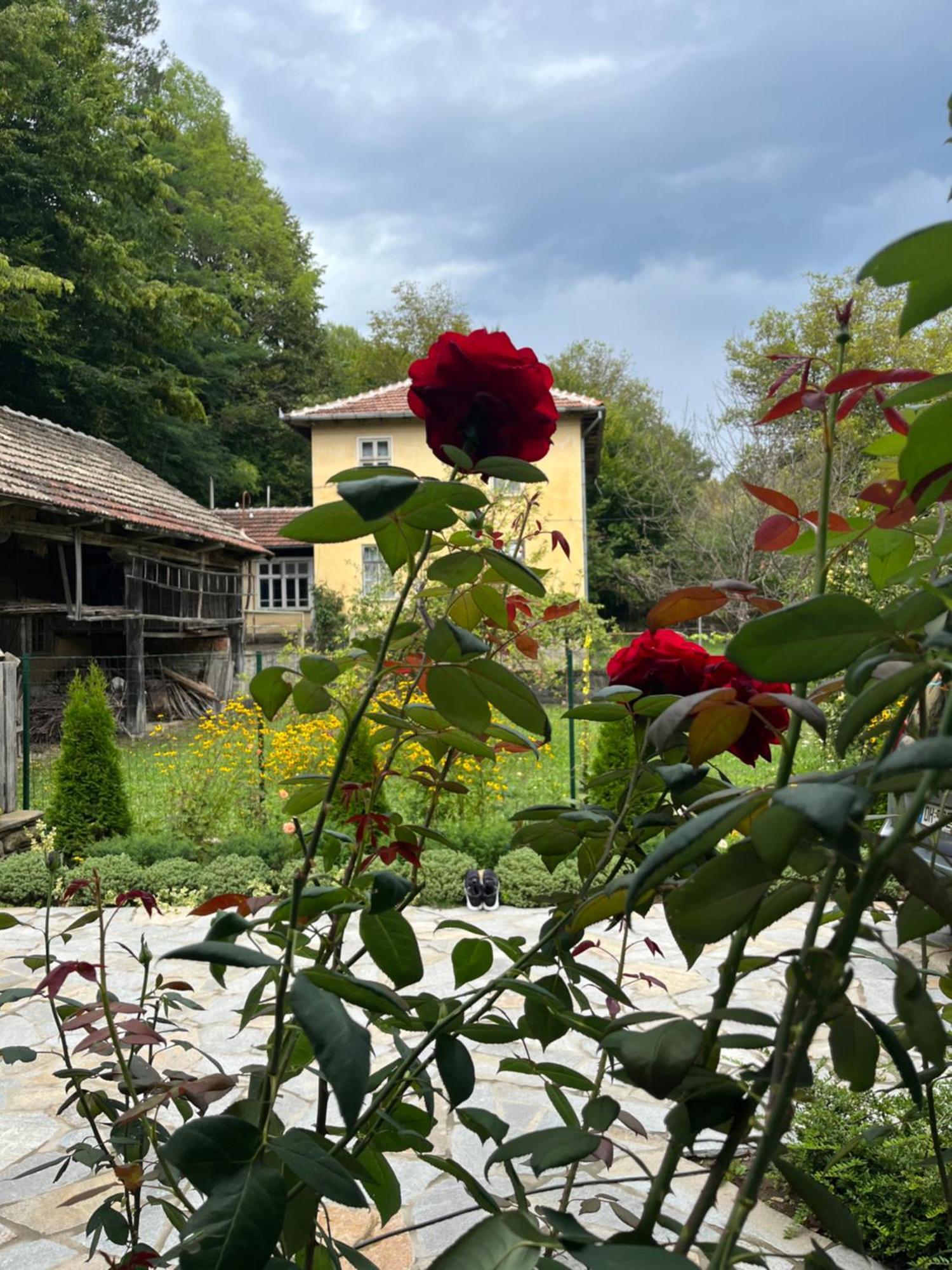 Verta House Трявна Экстерьер фото